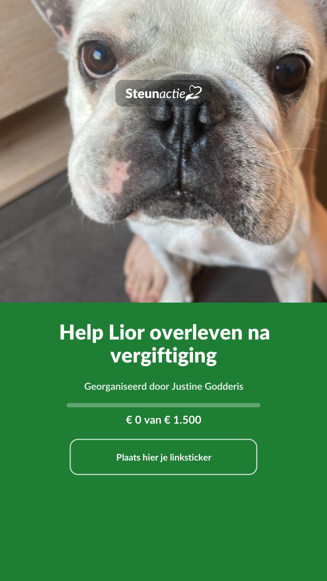 Voorbeeld van de afbeelding