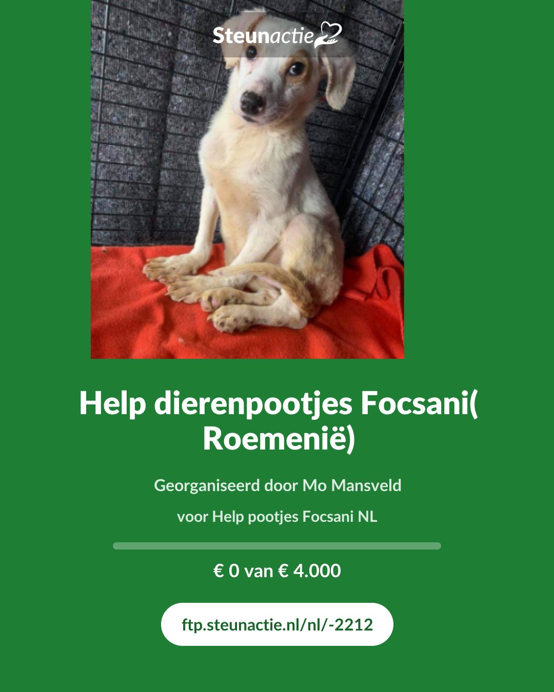 Voorbeeld van de afbeelding