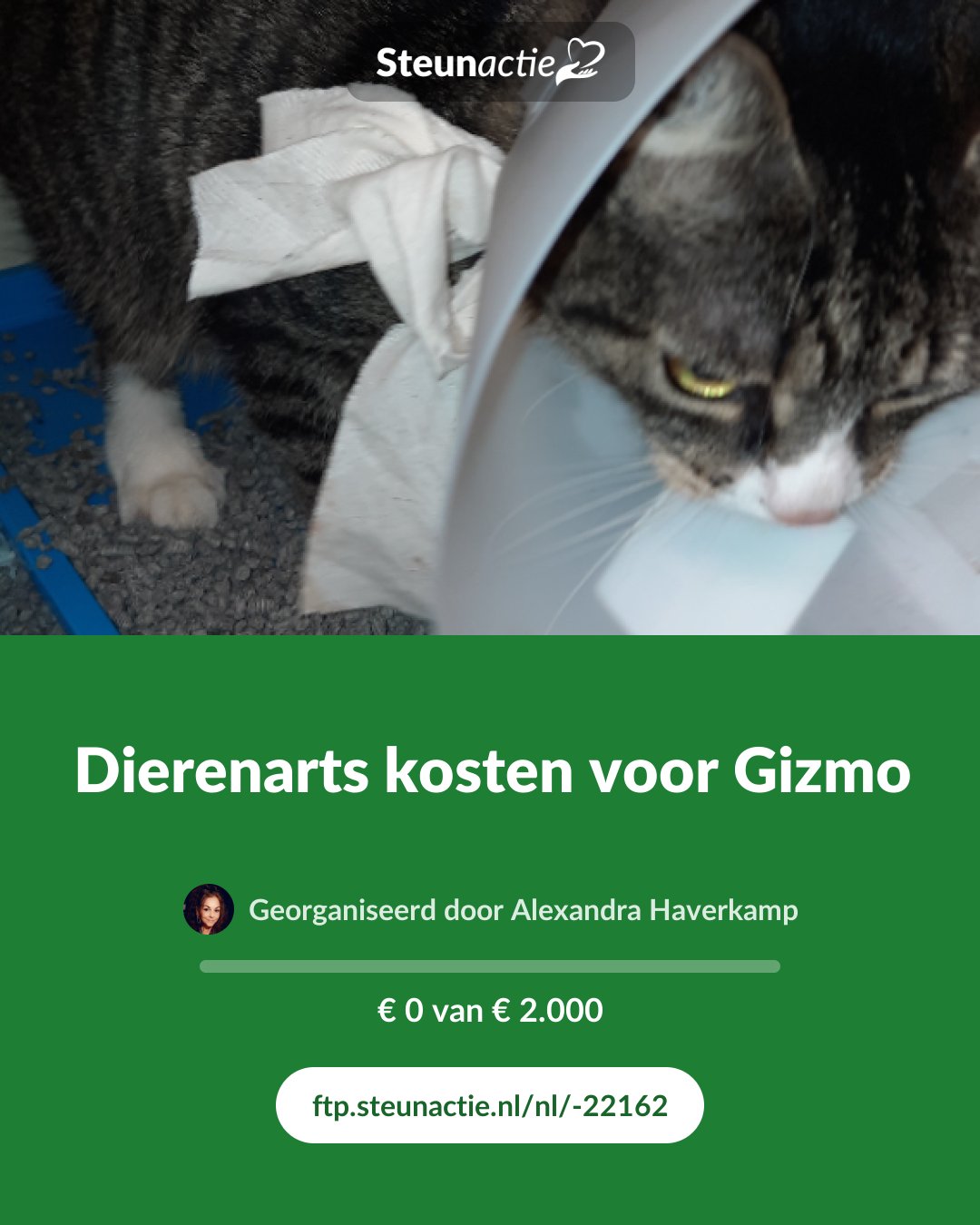 Voorbeeld van de afbeelding
