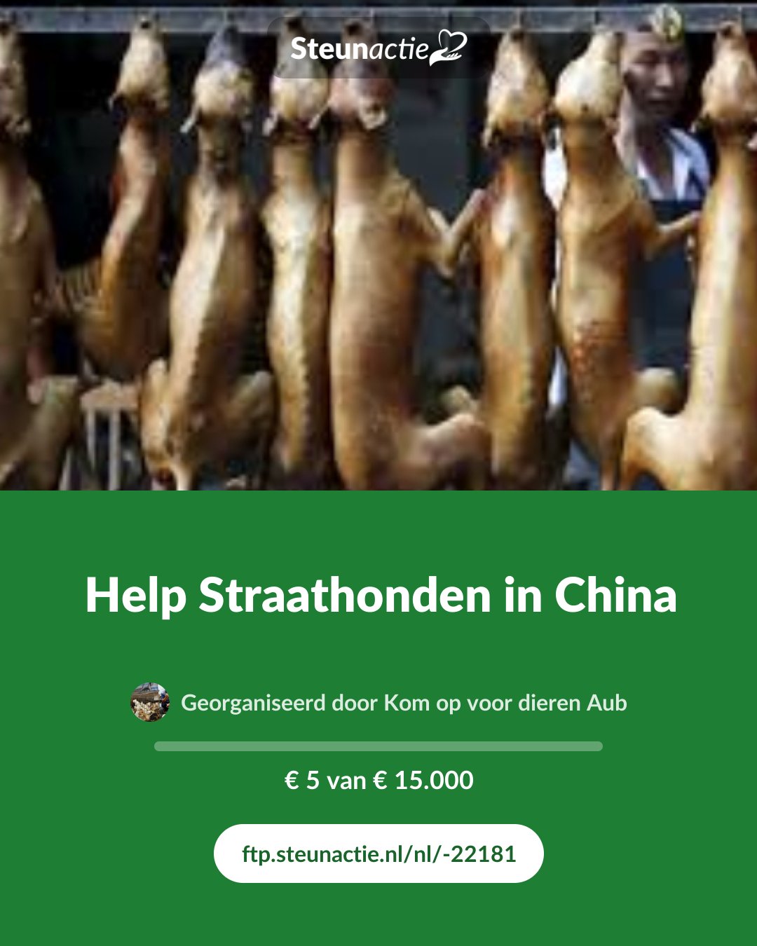 Voorbeeld van de afbeelding