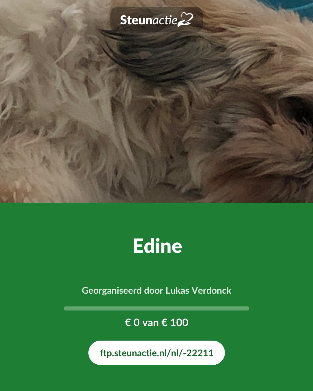 Voorbeeld van de afbeelding
