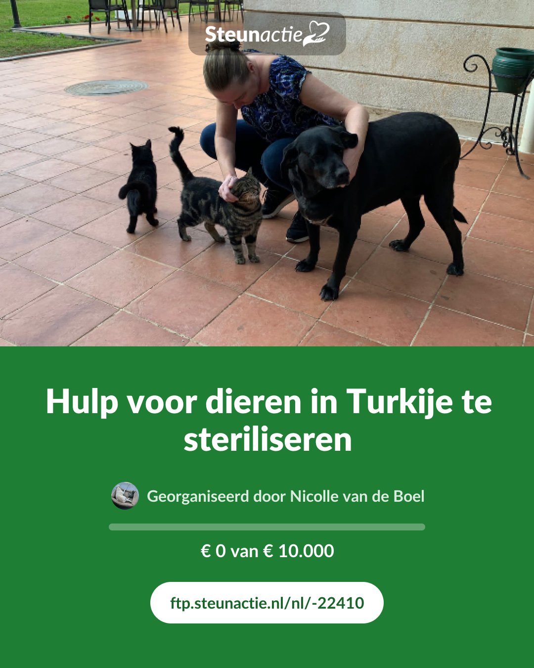 Voorbeeld van de afbeelding
