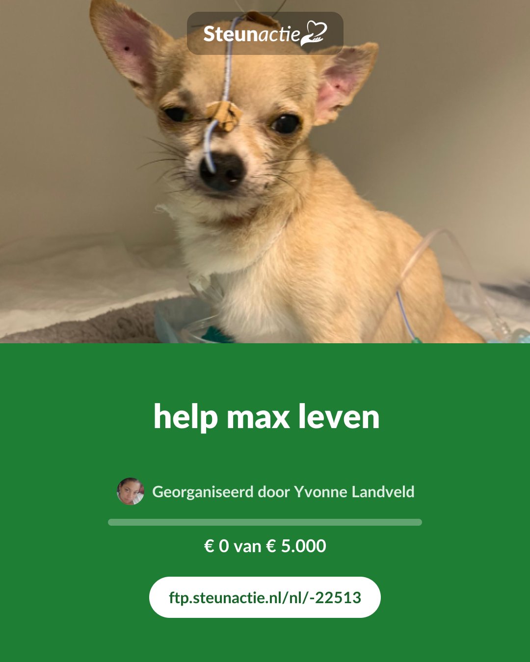 Voorbeeld van de afbeelding
