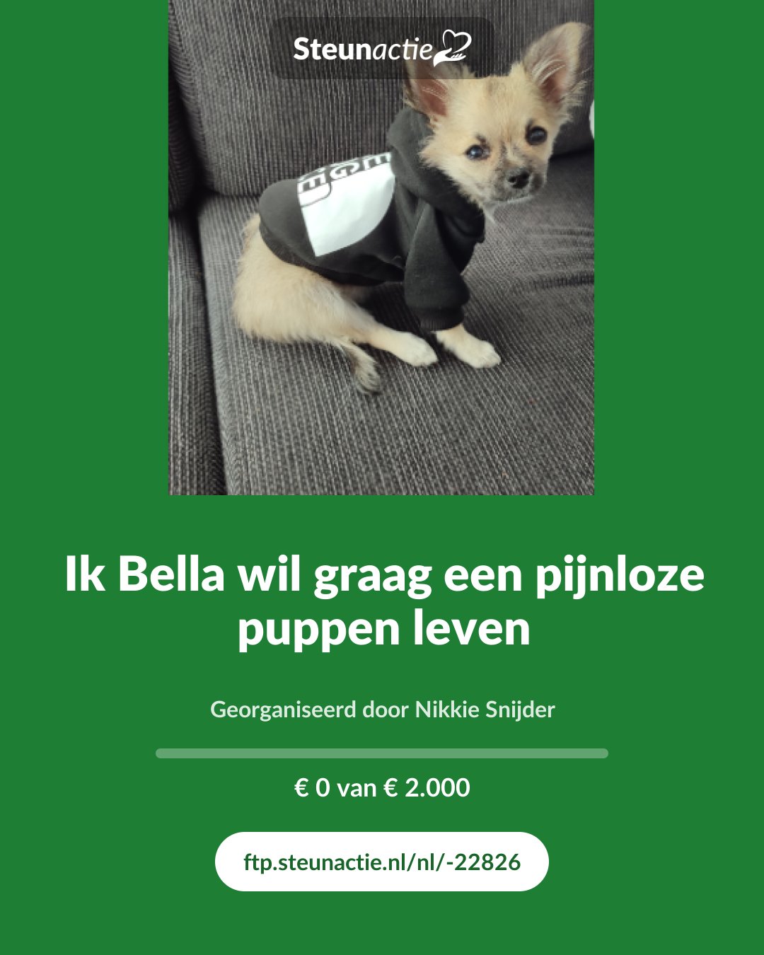 Voorbeeld van de afbeelding