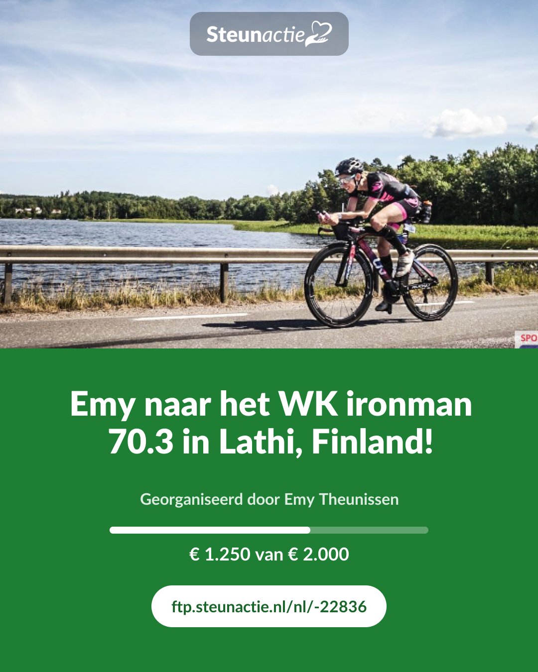 Voorbeeld van de afbeelding