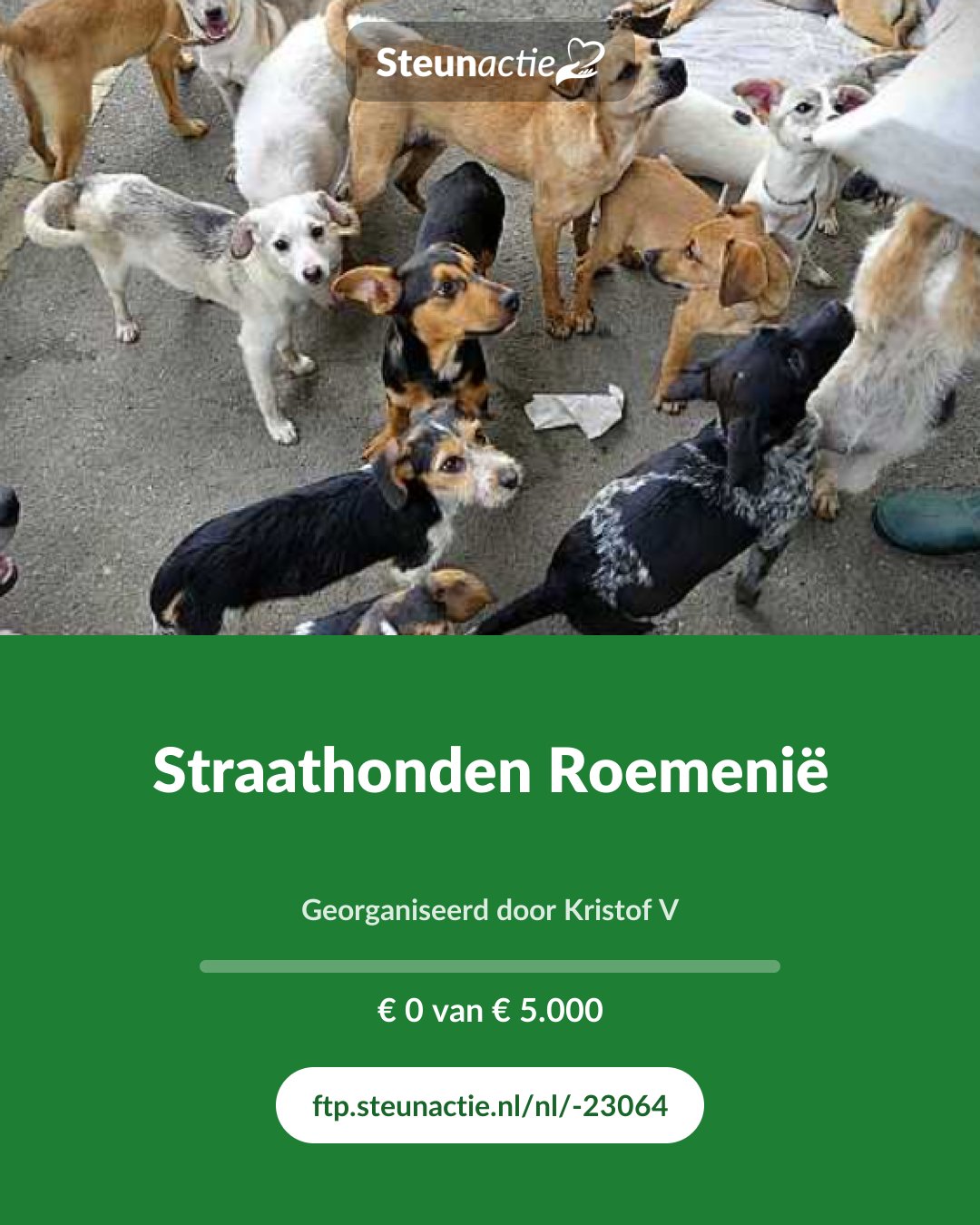 Voorbeeld van de afbeelding