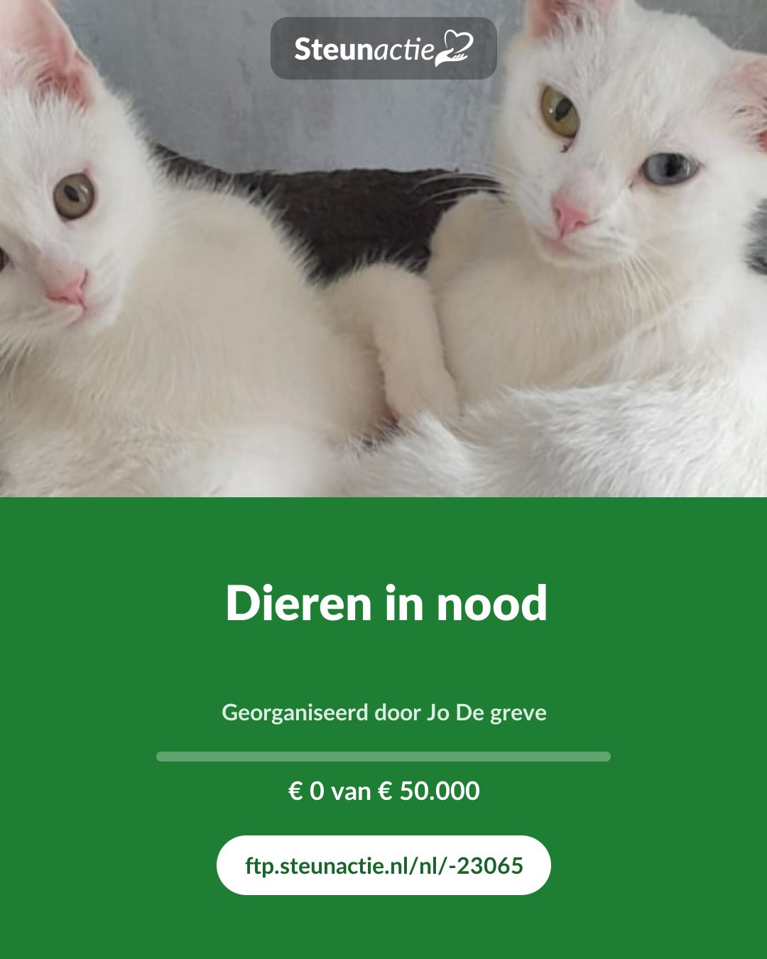 Voorbeeld van de afbeelding