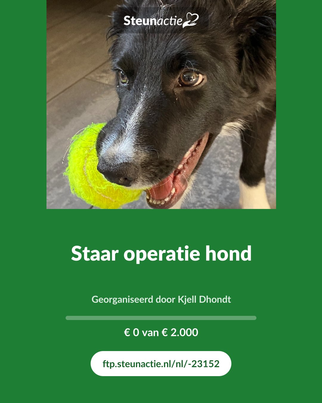 Voorbeeld van de afbeelding
