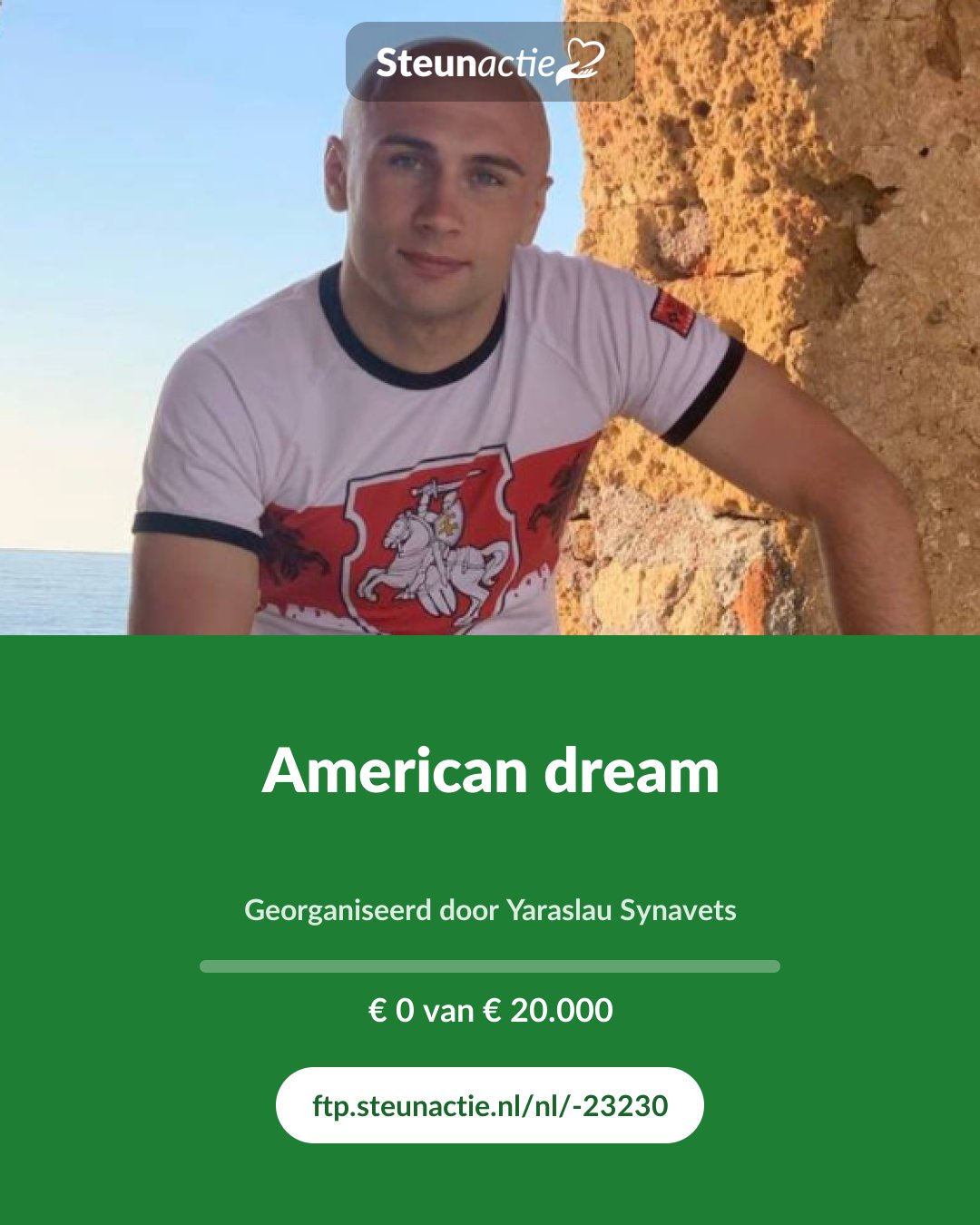 Voorbeeld van de afbeelding