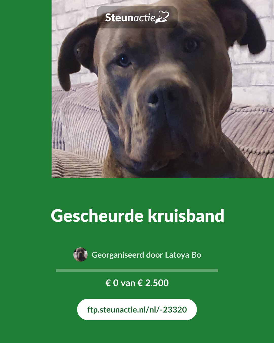 Voorbeeld van de afbeelding