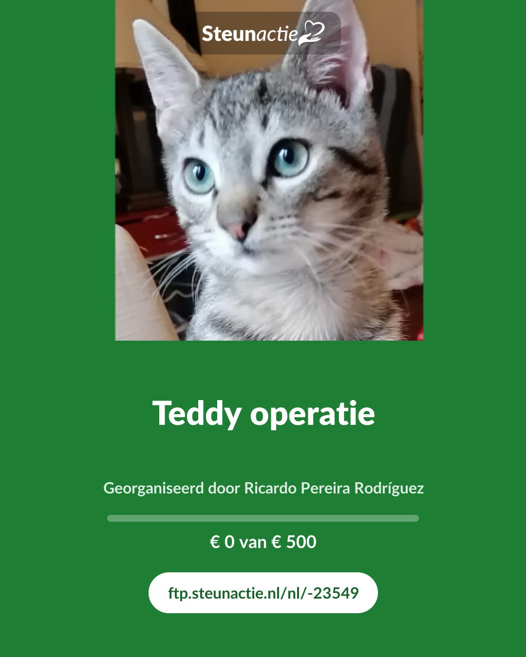 Voorbeeld van de afbeelding