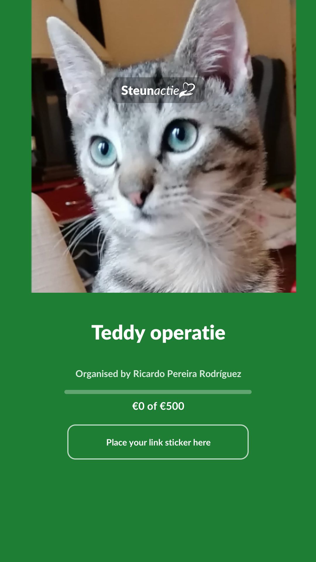 Preview of the image