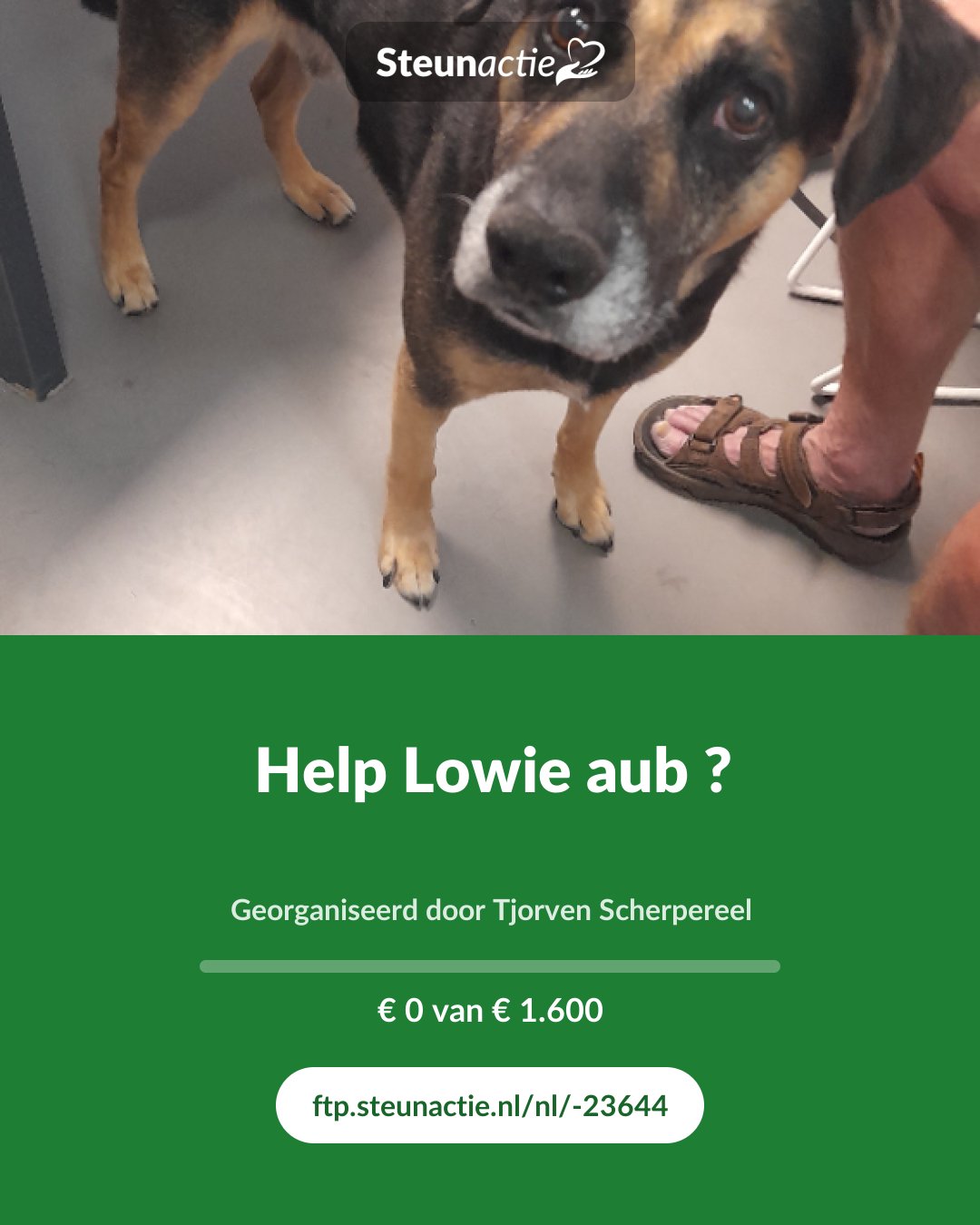 Voorbeeld van de afbeelding