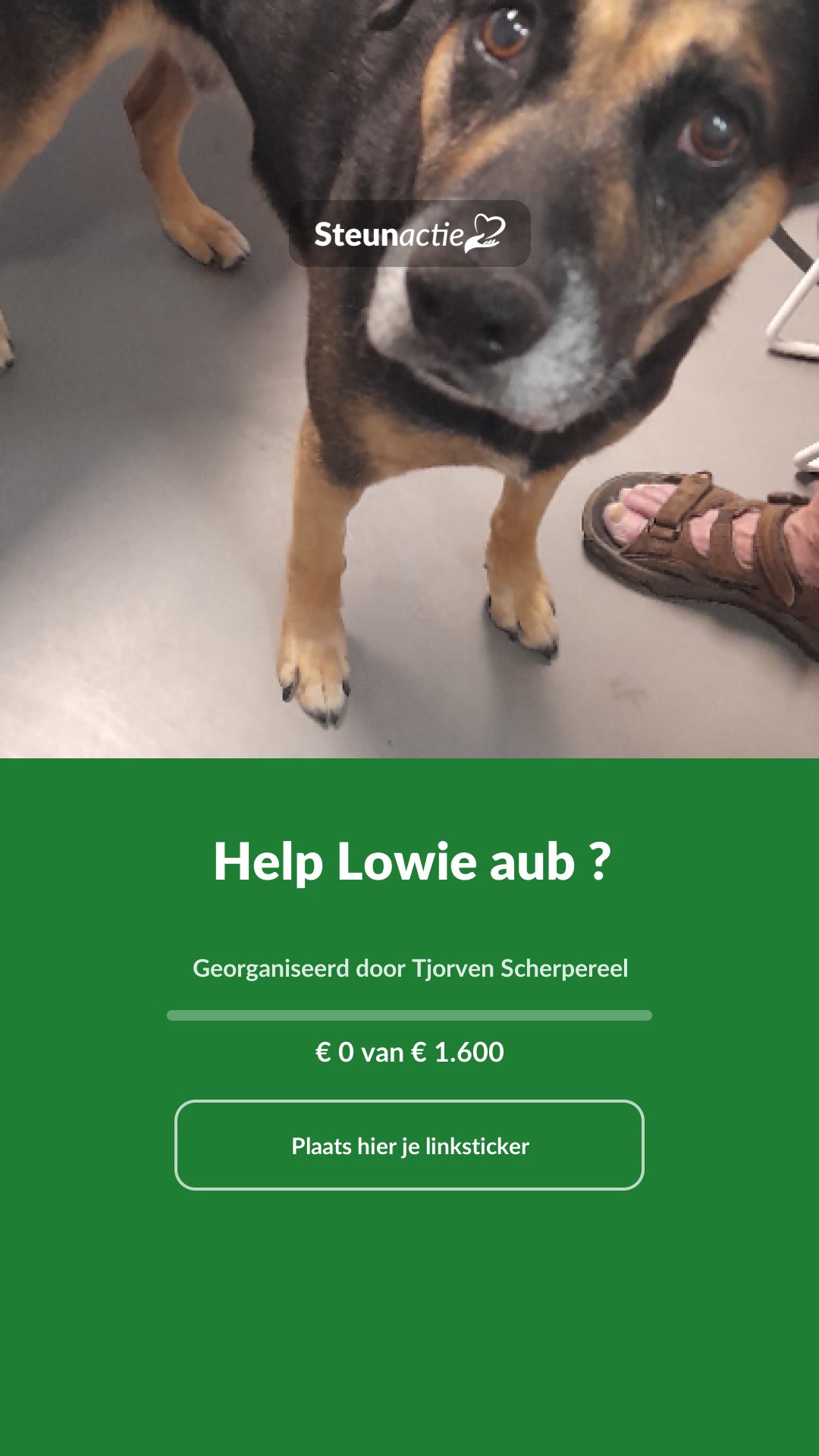 Voorbeeld van de afbeelding