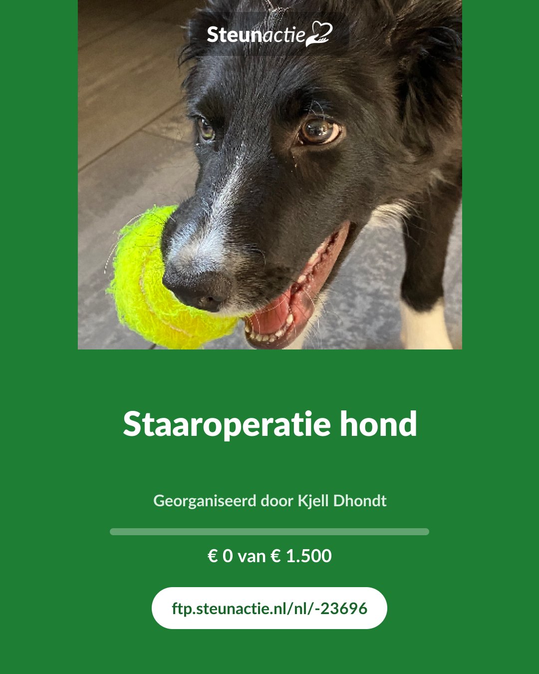 Voorbeeld van de afbeelding