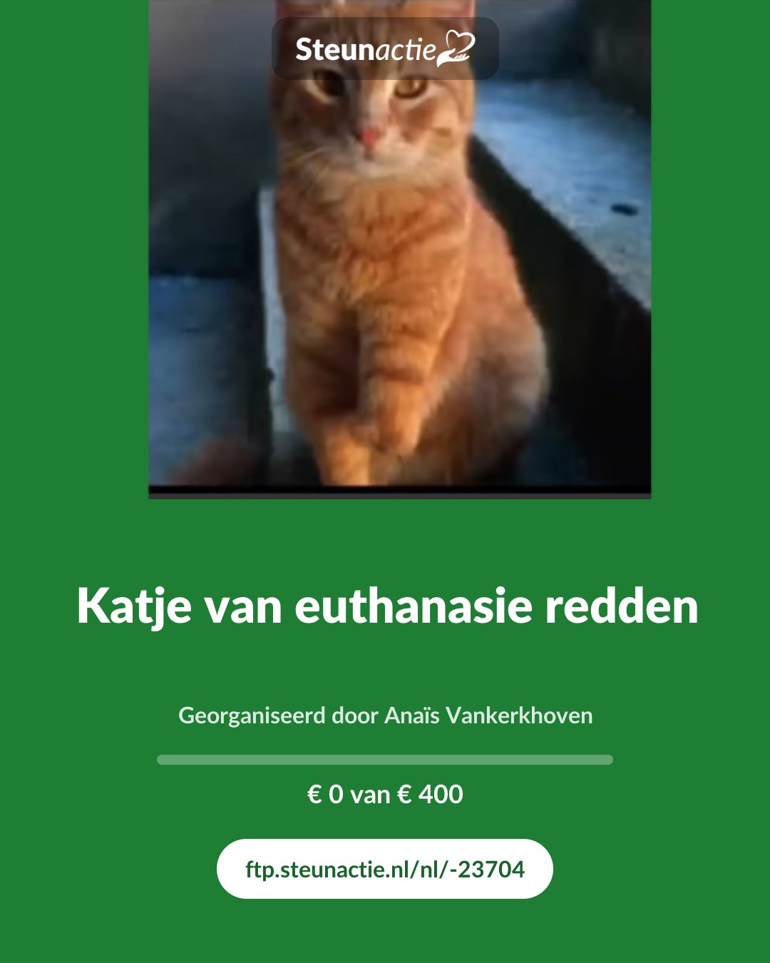 Voorbeeld van de afbeelding