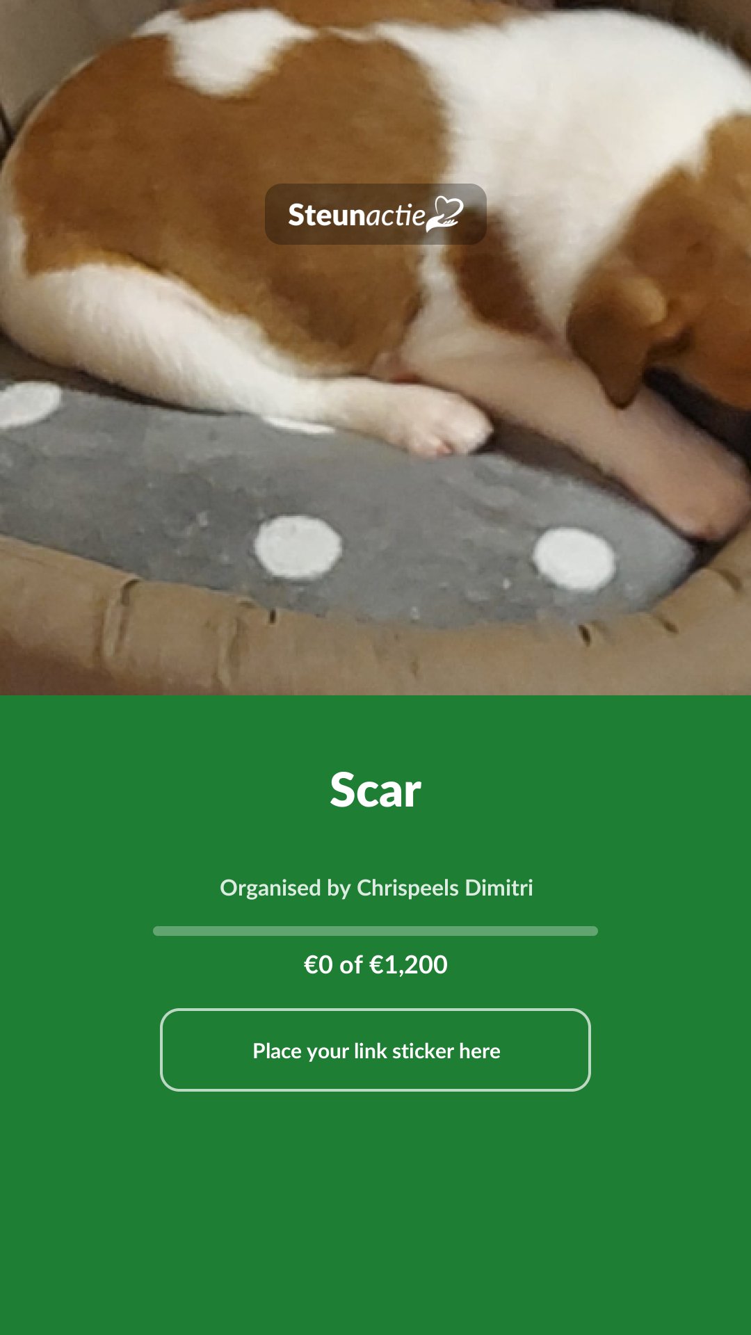 Preview of the image