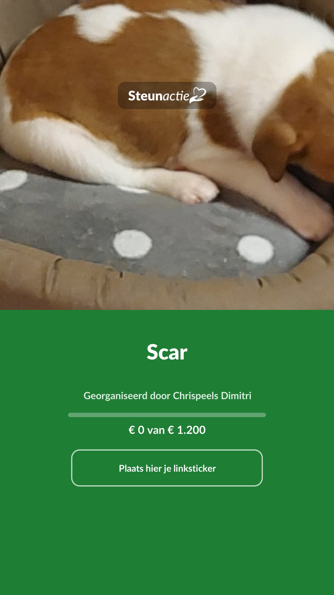 Voorbeeld van de afbeelding