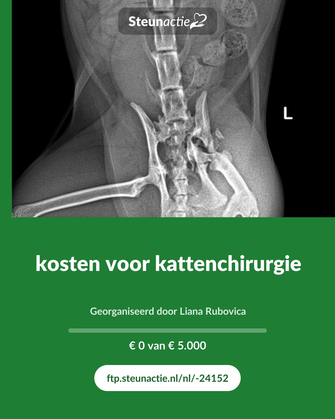 Voorbeeld van de afbeelding