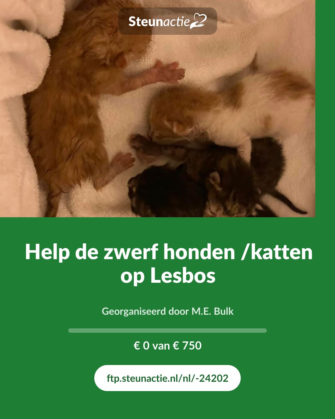 Voorbeeld van de afbeelding