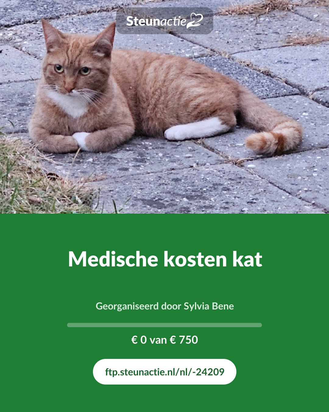 Voorbeeld van de afbeelding