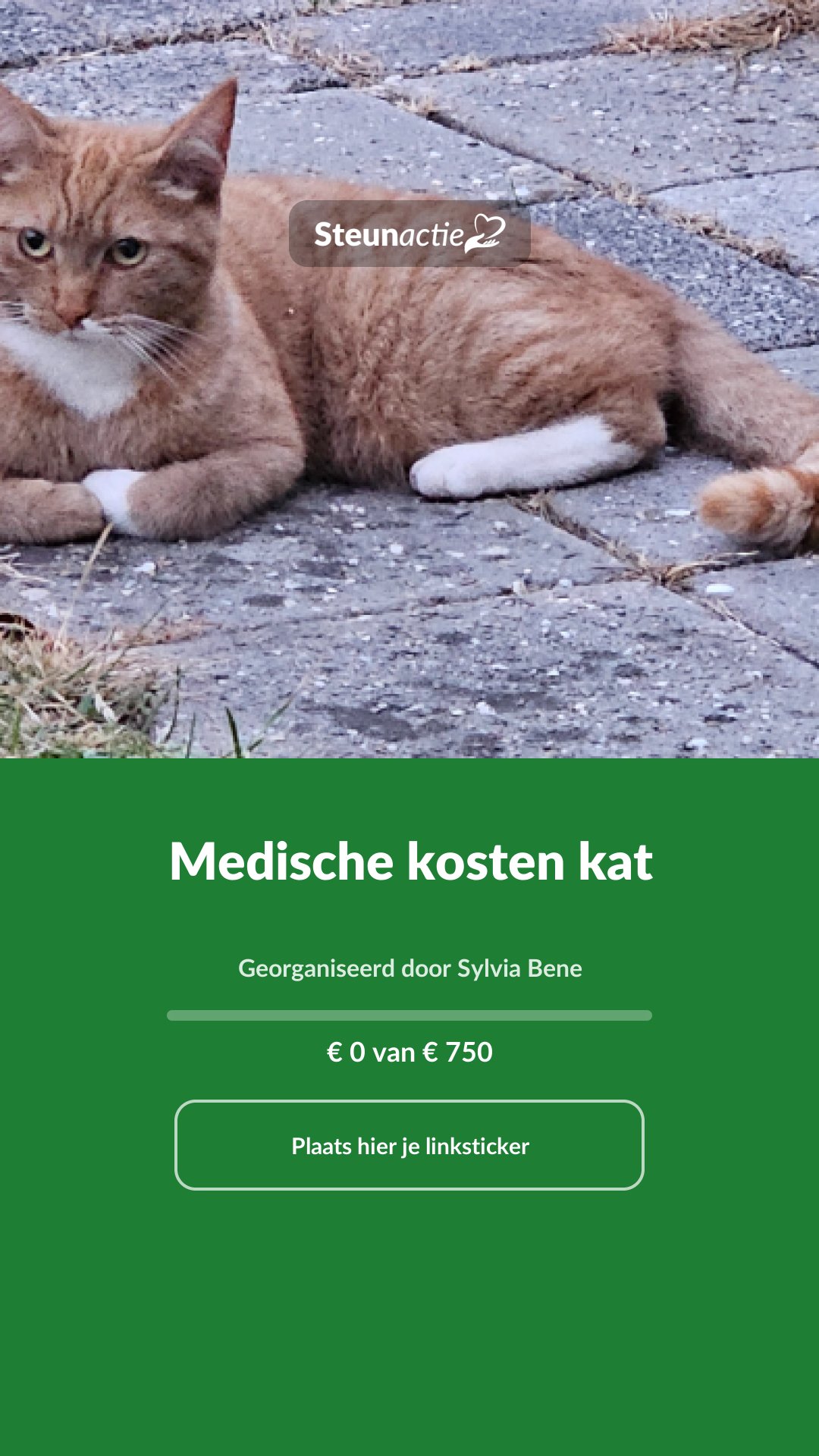 Voorbeeld van de afbeelding