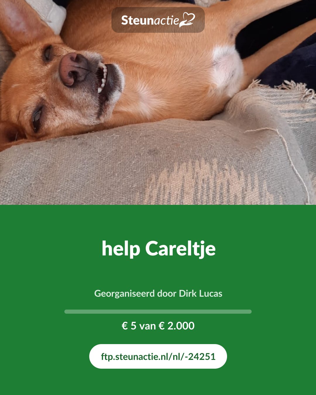 Voorbeeld van de afbeelding