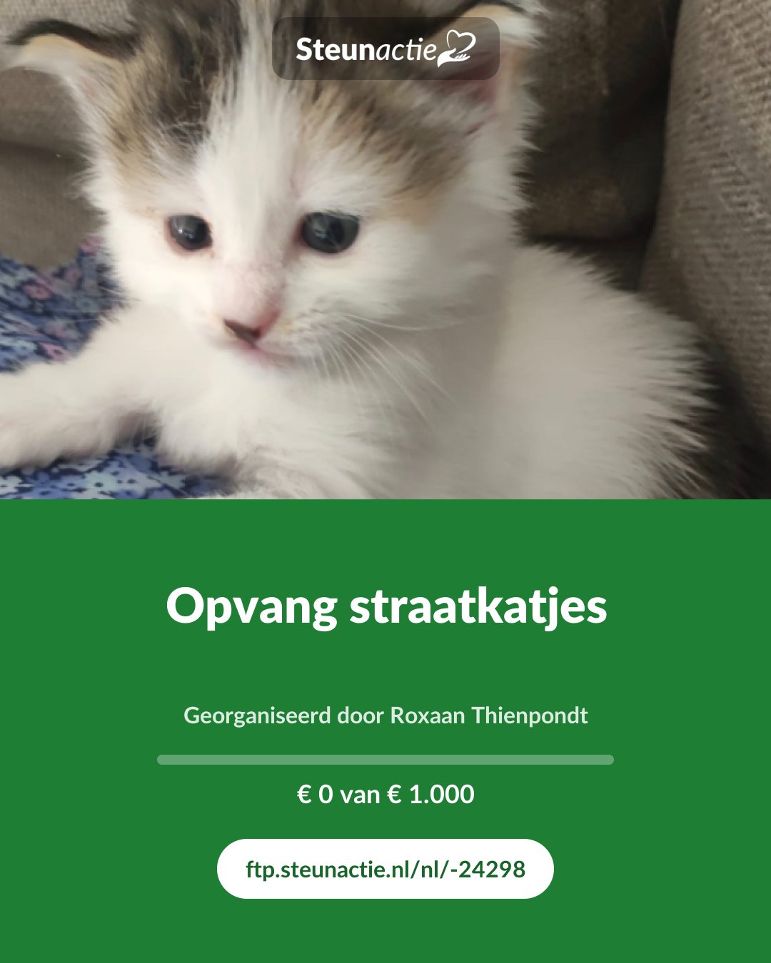 Voorbeeld van de afbeelding