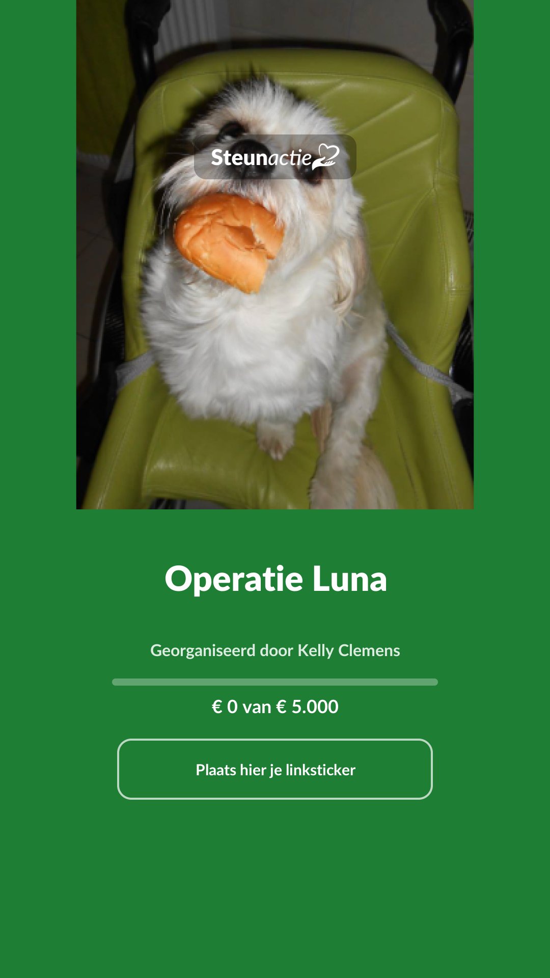 Voorbeeld van de afbeelding