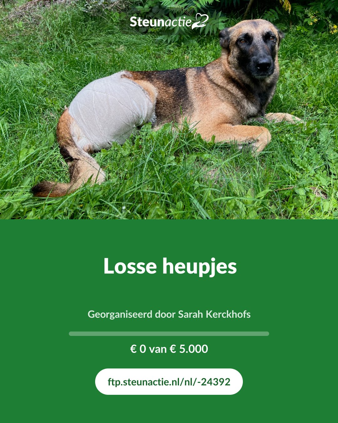 Voorbeeld van de afbeelding