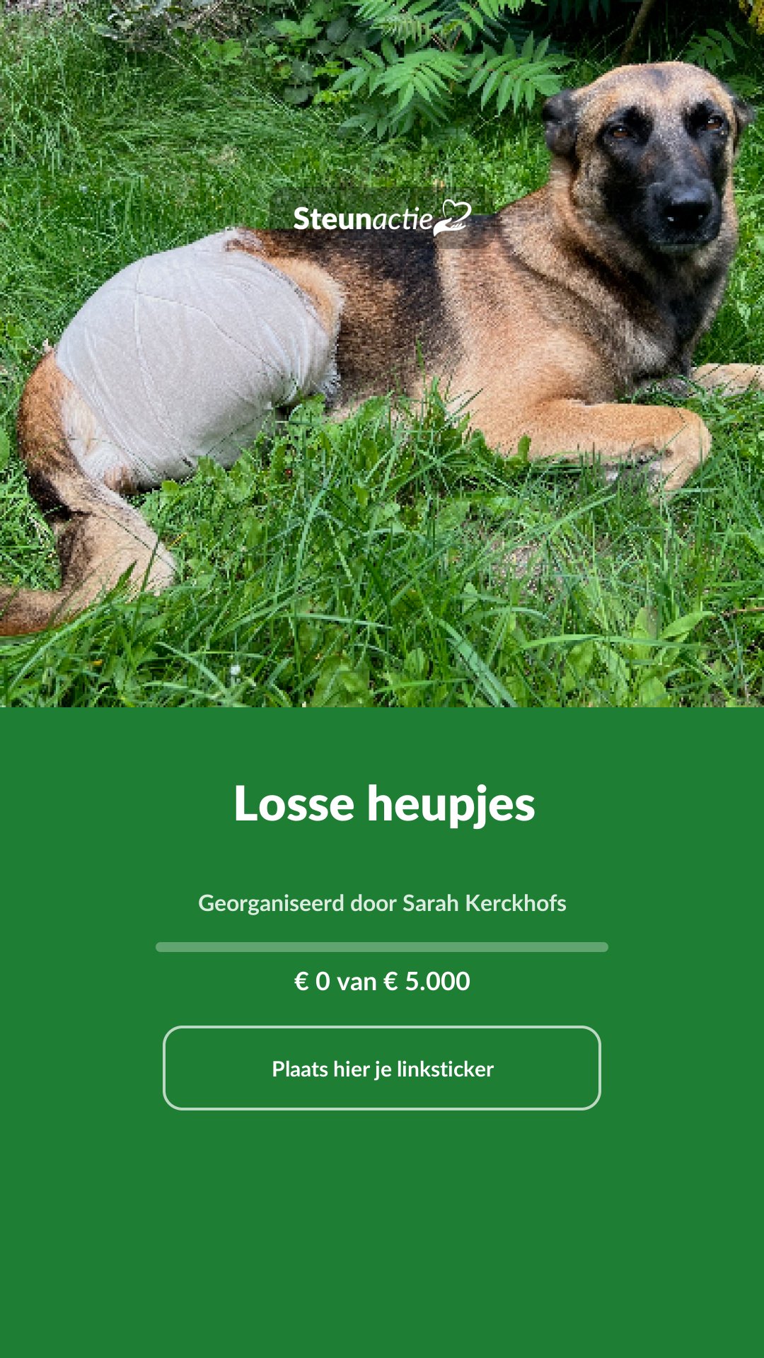 Voorbeeld van de afbeelding