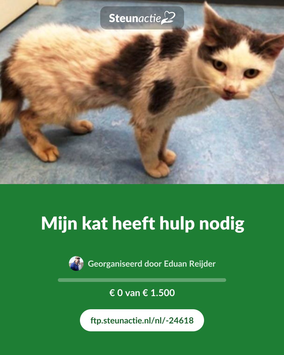 Voorbeeld van de afbeelding