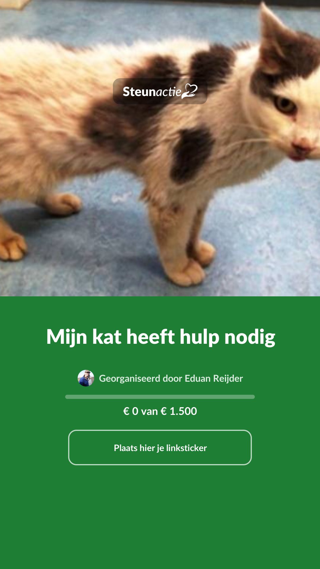 Voorbeeld van de afbeelding