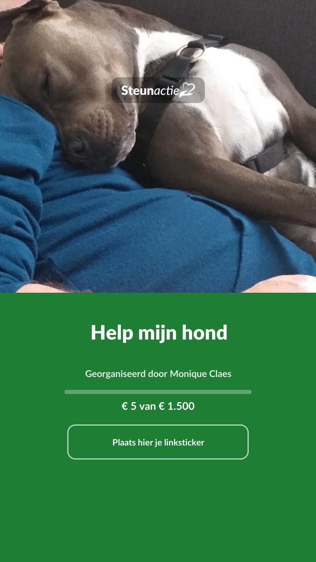 Voorbeeld van de afbeelding