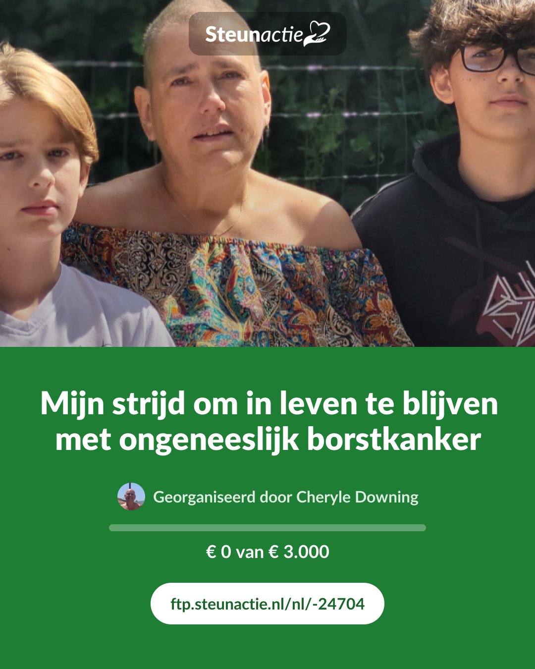 Voorbeeld van de afbeelding