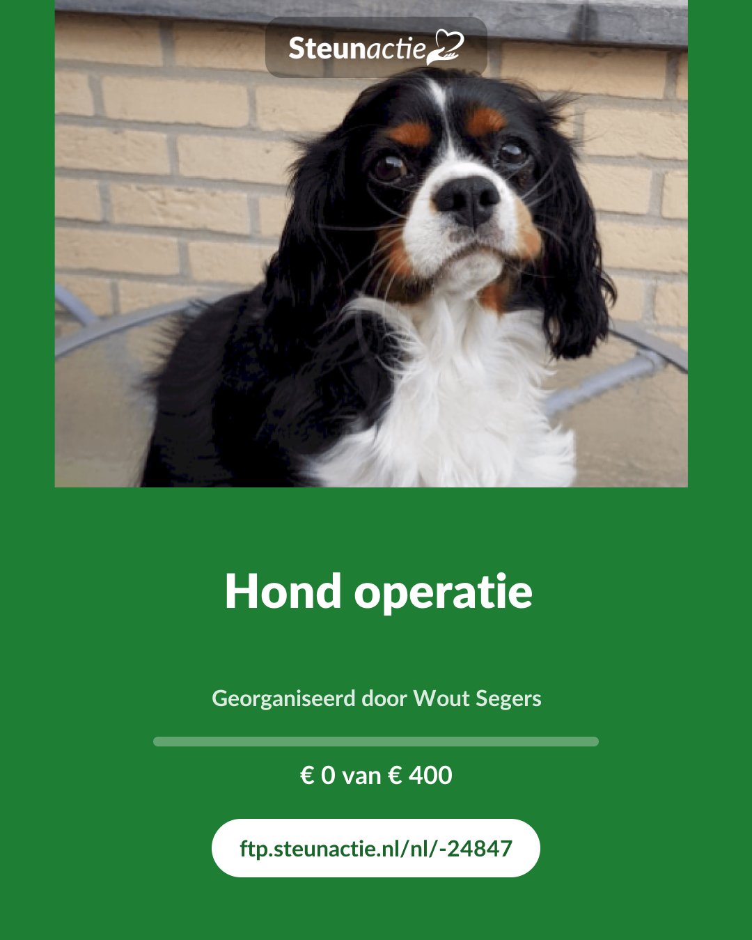 Voorbeeld van de afbeelding