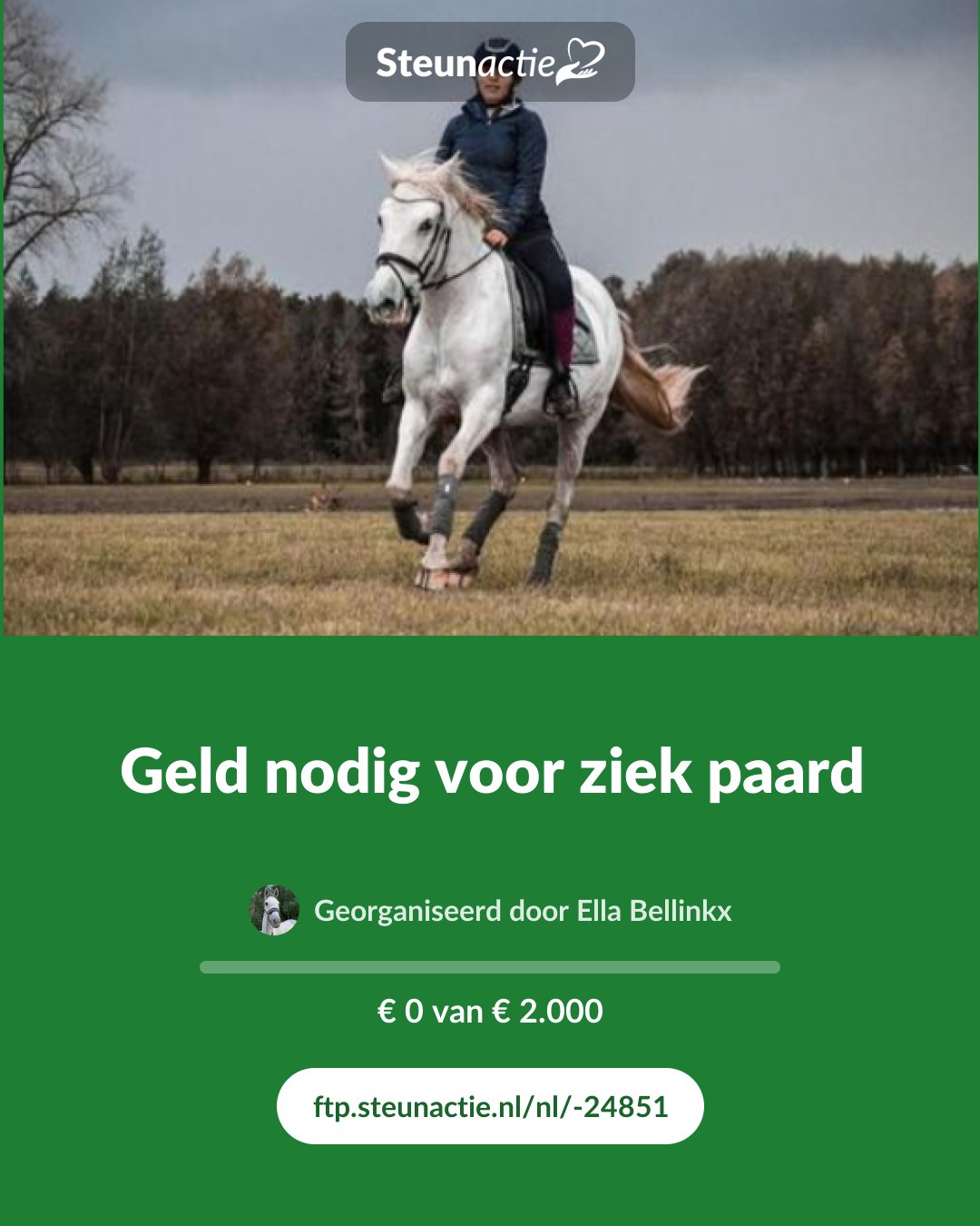 Voorbeeld van de afbeelding