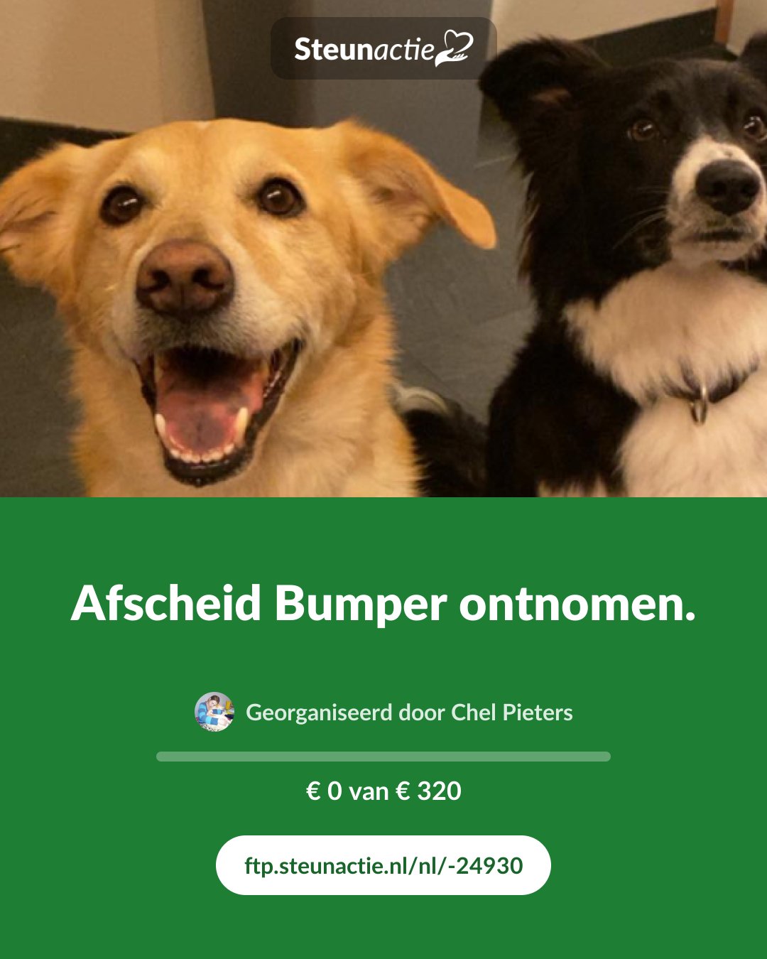 Voorbeeld van de afbeelding