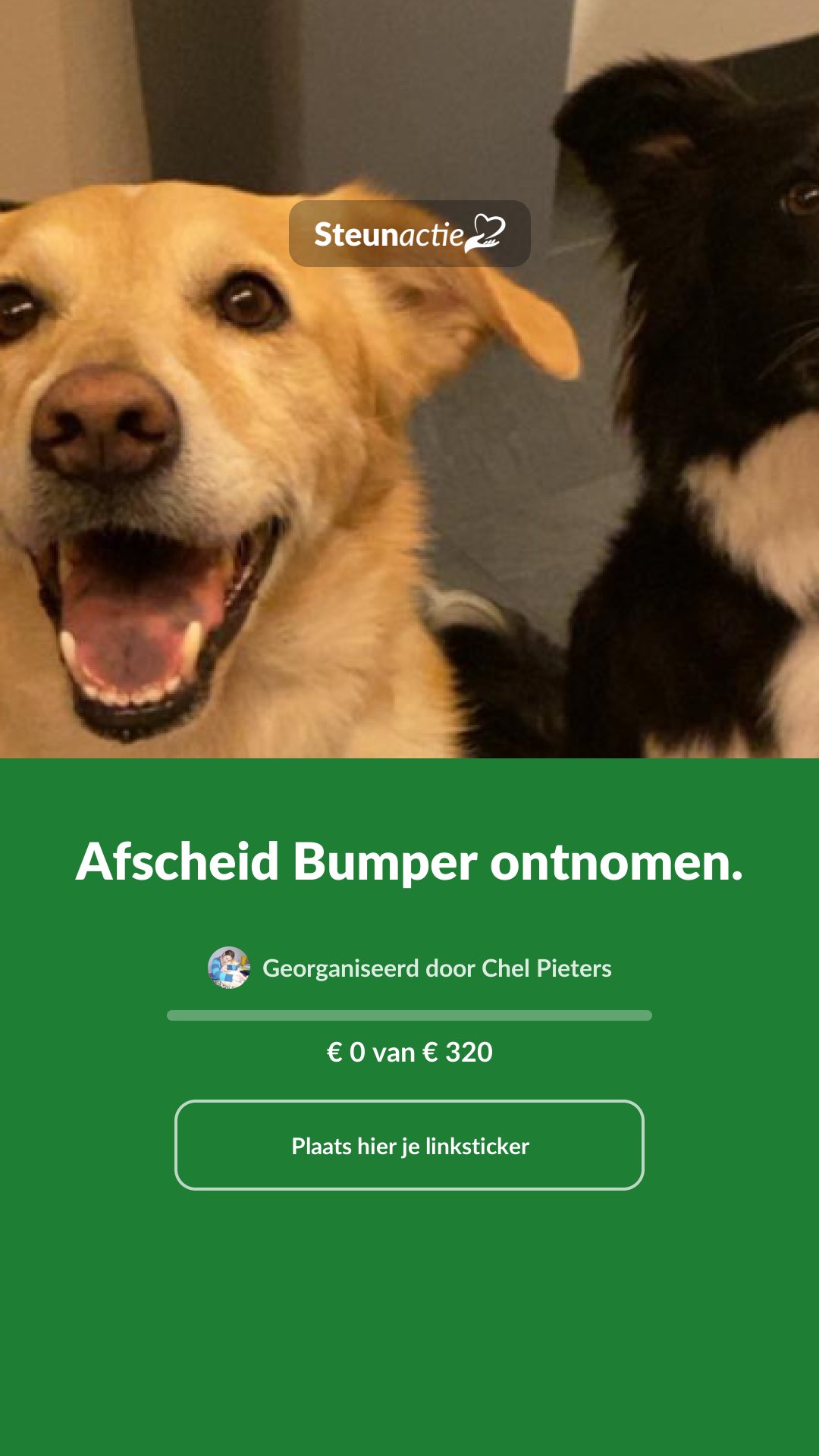 Voorbeeld van de afbeelding