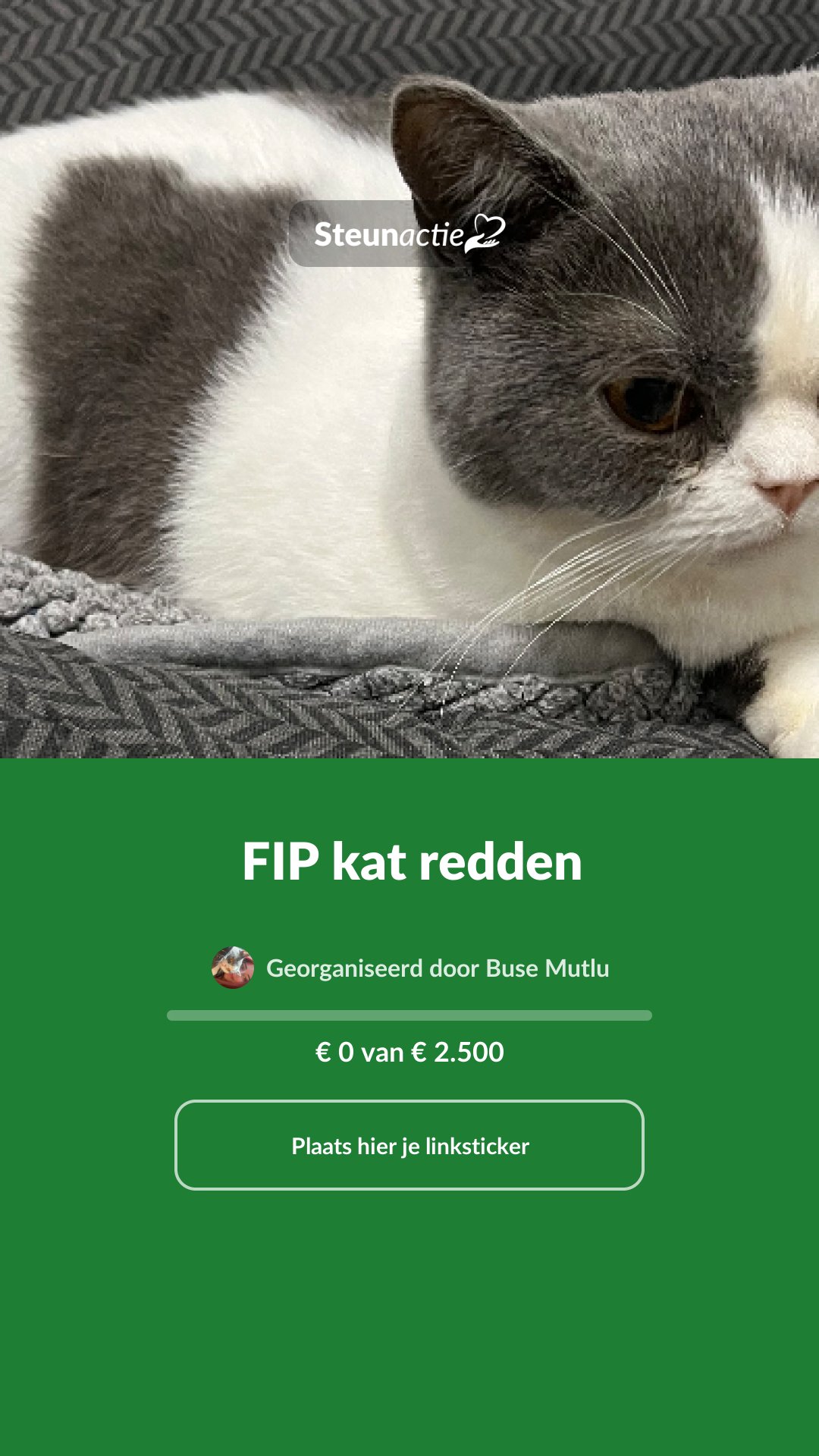Voorbeeld van de afbeelding