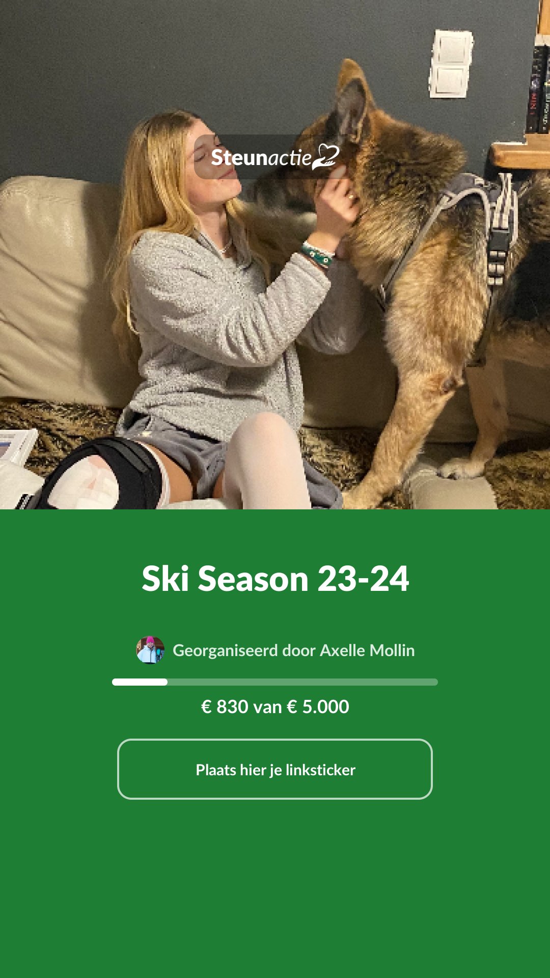 Voorbeeld van de afbeelding
