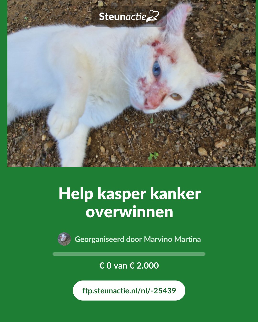 Voorbeeld van de afbeelding