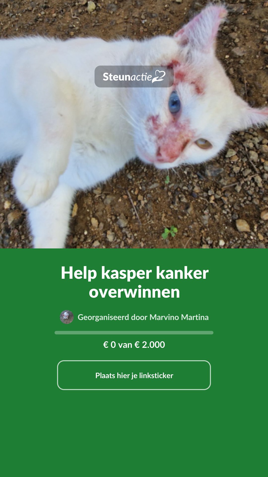Voorbeeld van de afbeelding