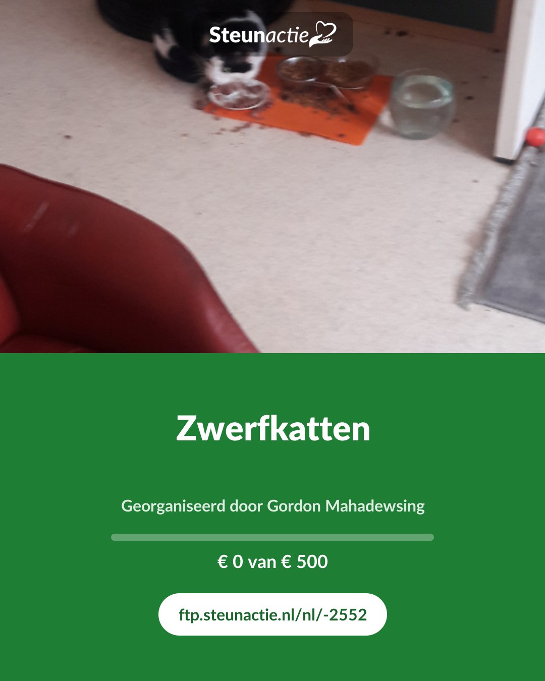 Voorbeeld van de afbeelding