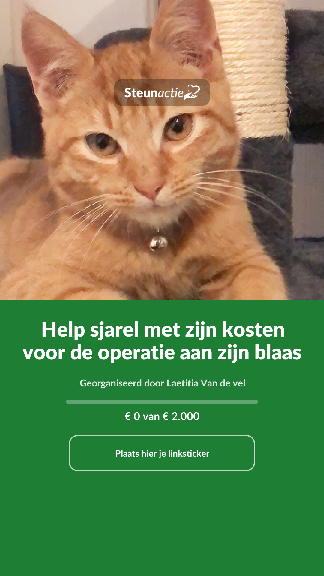 Voorbeeld van de afbeelding
