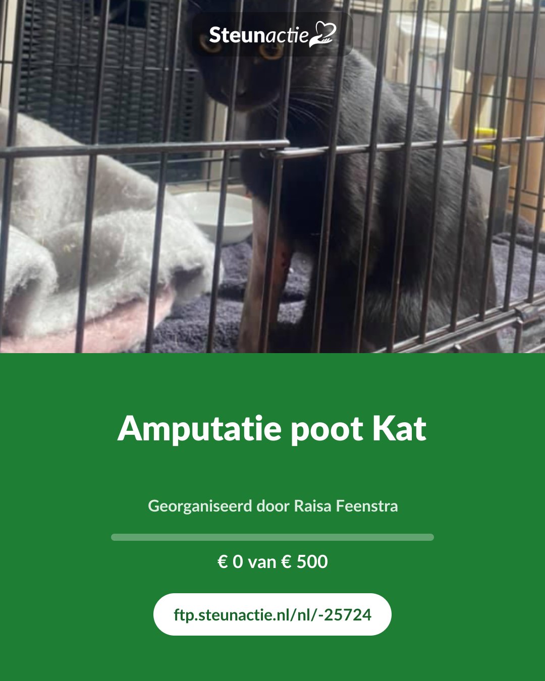 Voorbeeld van de afbeelding