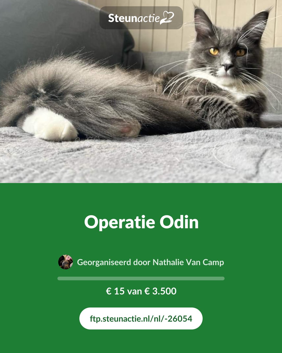 Voorbeeld van de afbeelding