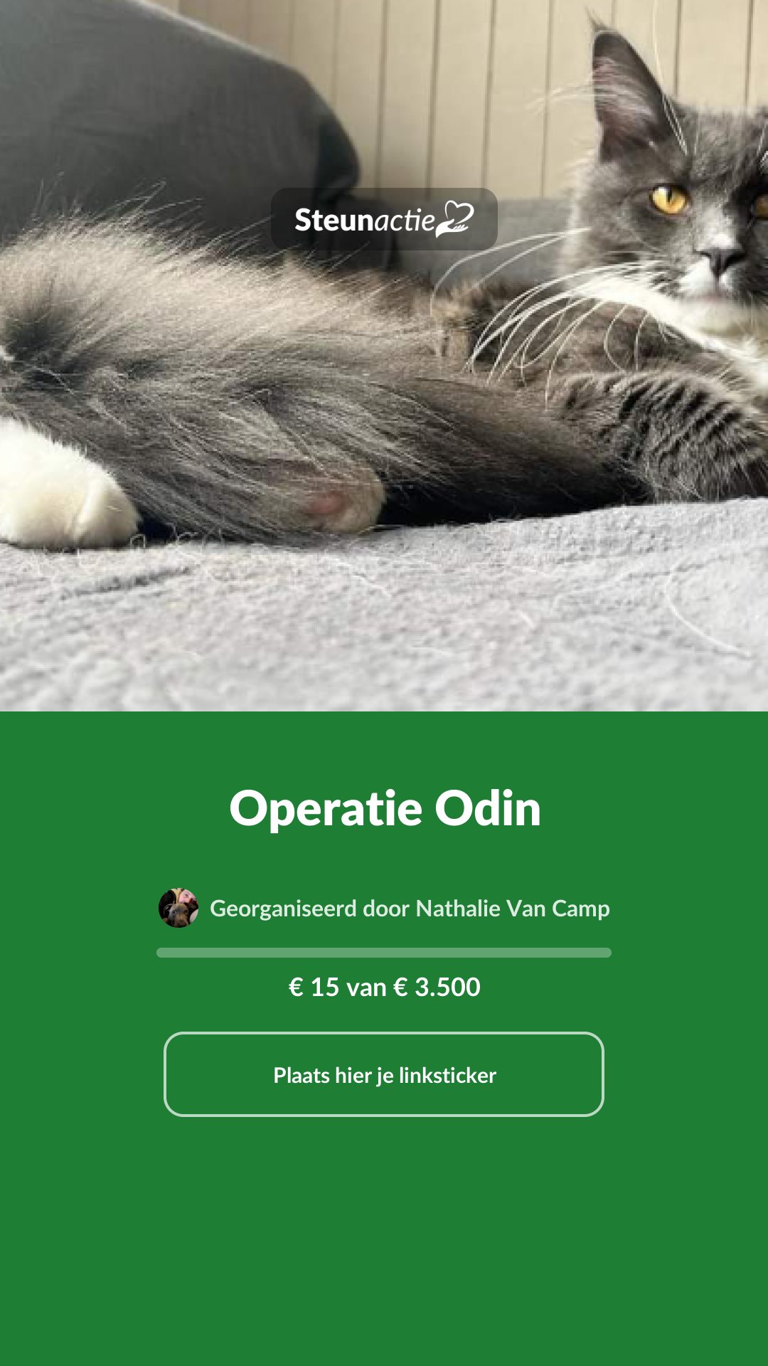 Voorbeeld van de afbeelding