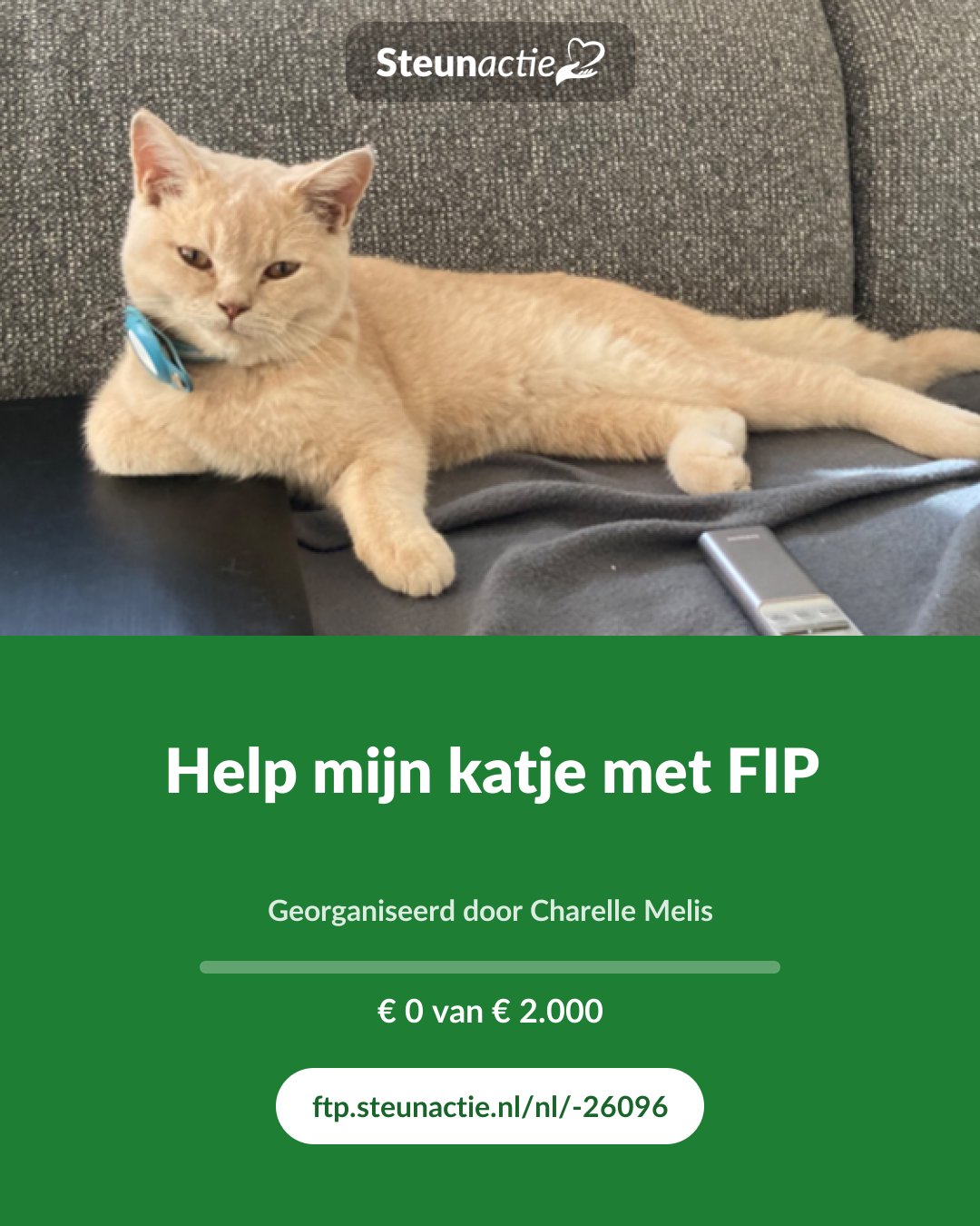 Voorbeeld van de afbeelding