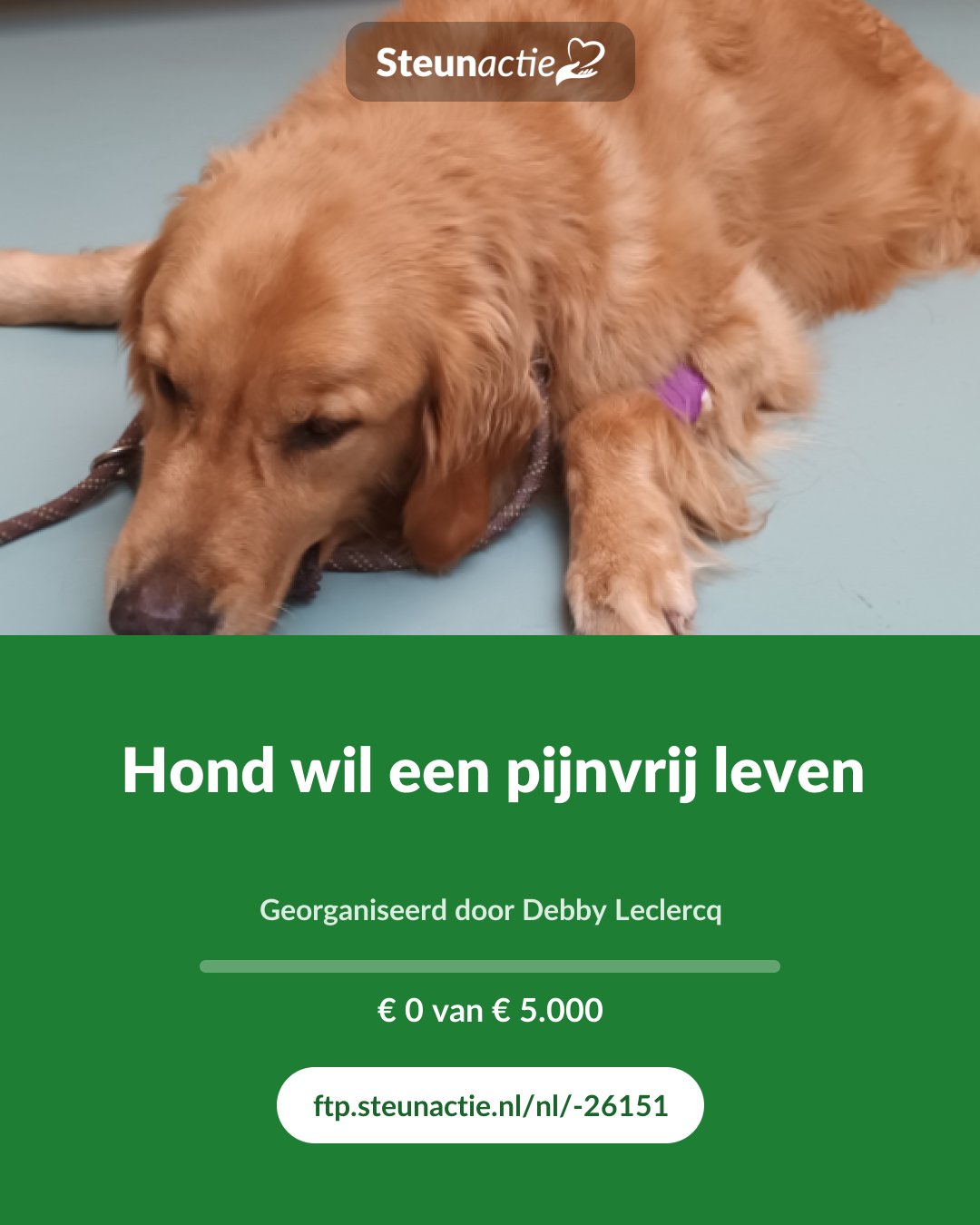 Voorbeeld van de afbeelding